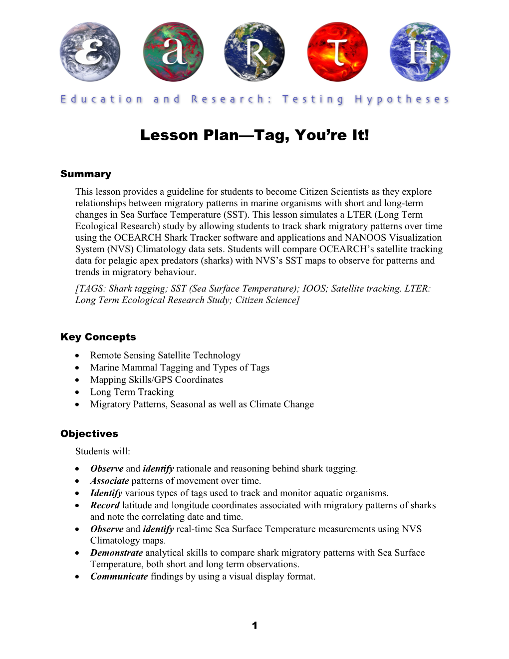 Lesson Plan Tag, You Re It!