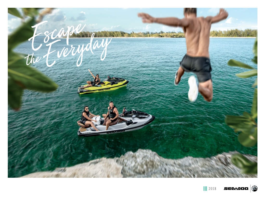 Download the 2018 Sea-Doo Brochure