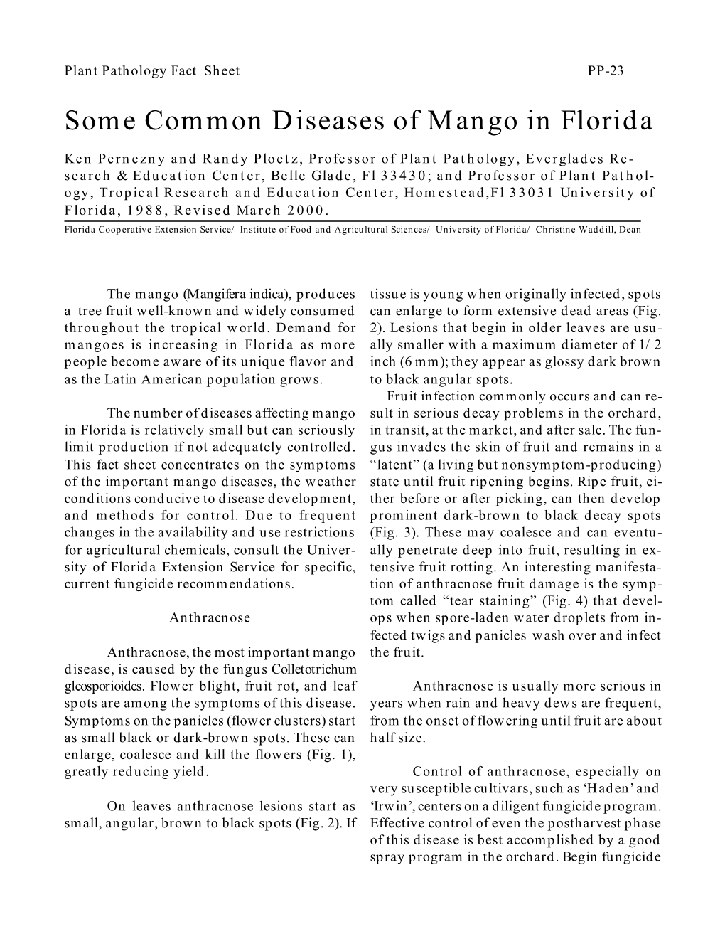 Some Common Diseases of Mango in Florida