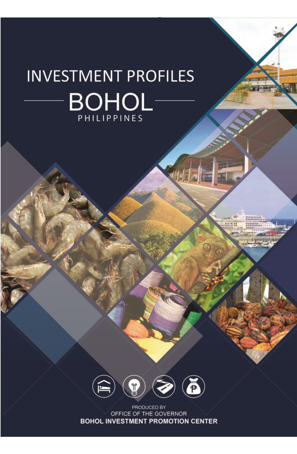 Investment Location Profiles Province of Bohol, Philippines 1