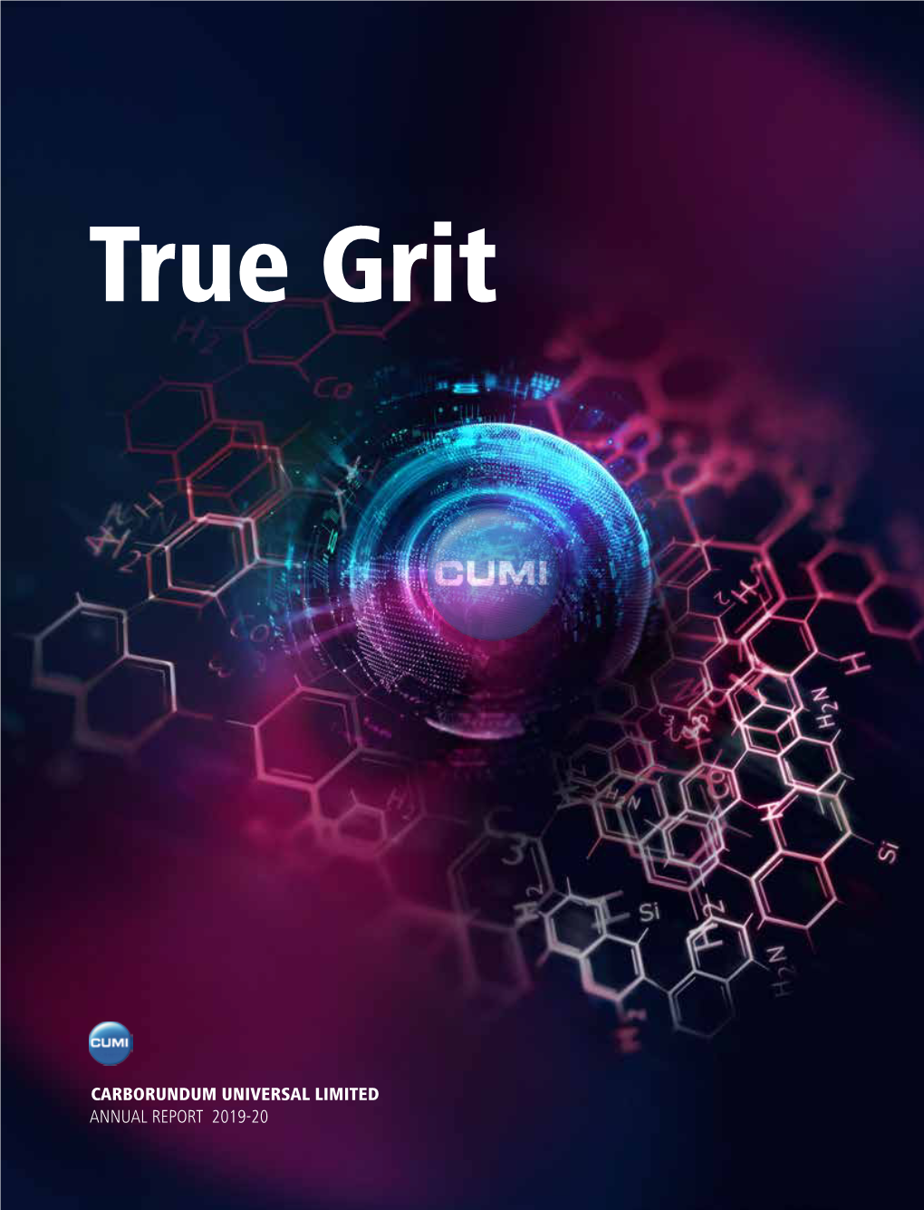 CARBORUNDUM UNIVERSAL LIMITED ANNUAL REPORT 2019-20 CONTENTS True Grit