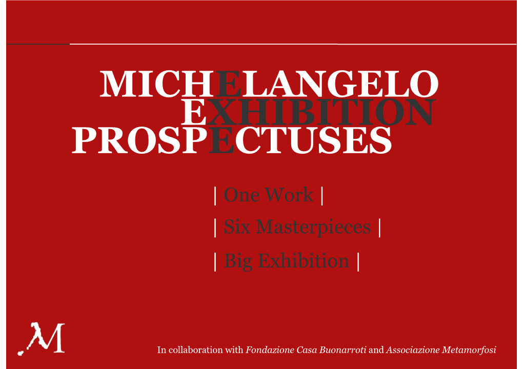 Exhibition Michelangelo Prospectuses