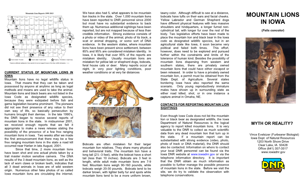 Mountain Lions/Cougars in Iowa---Myth Or Reality