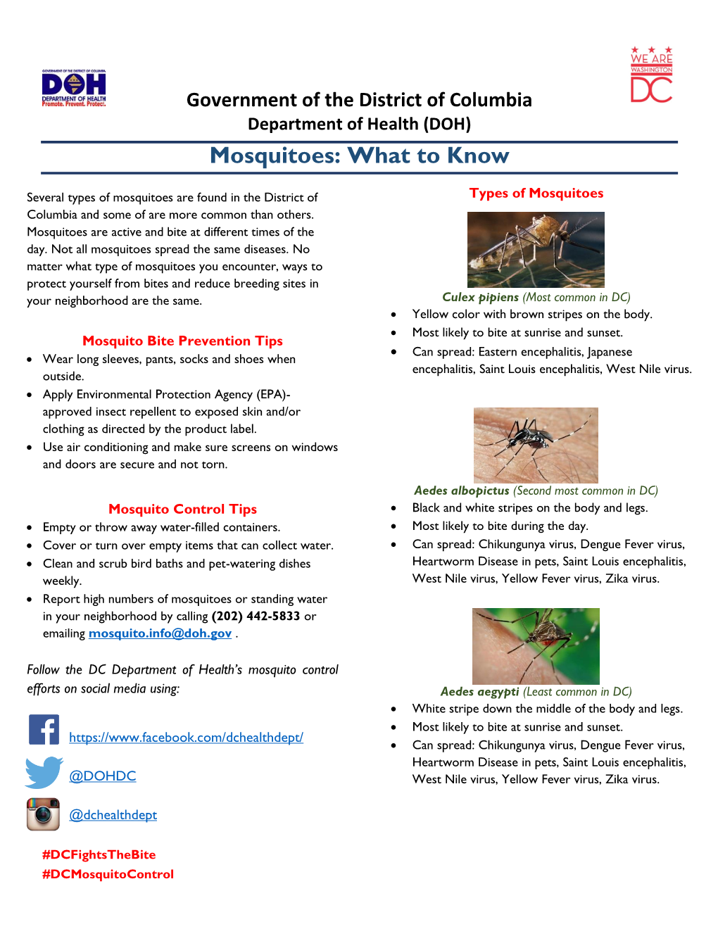 Mosquitoes: What to Know