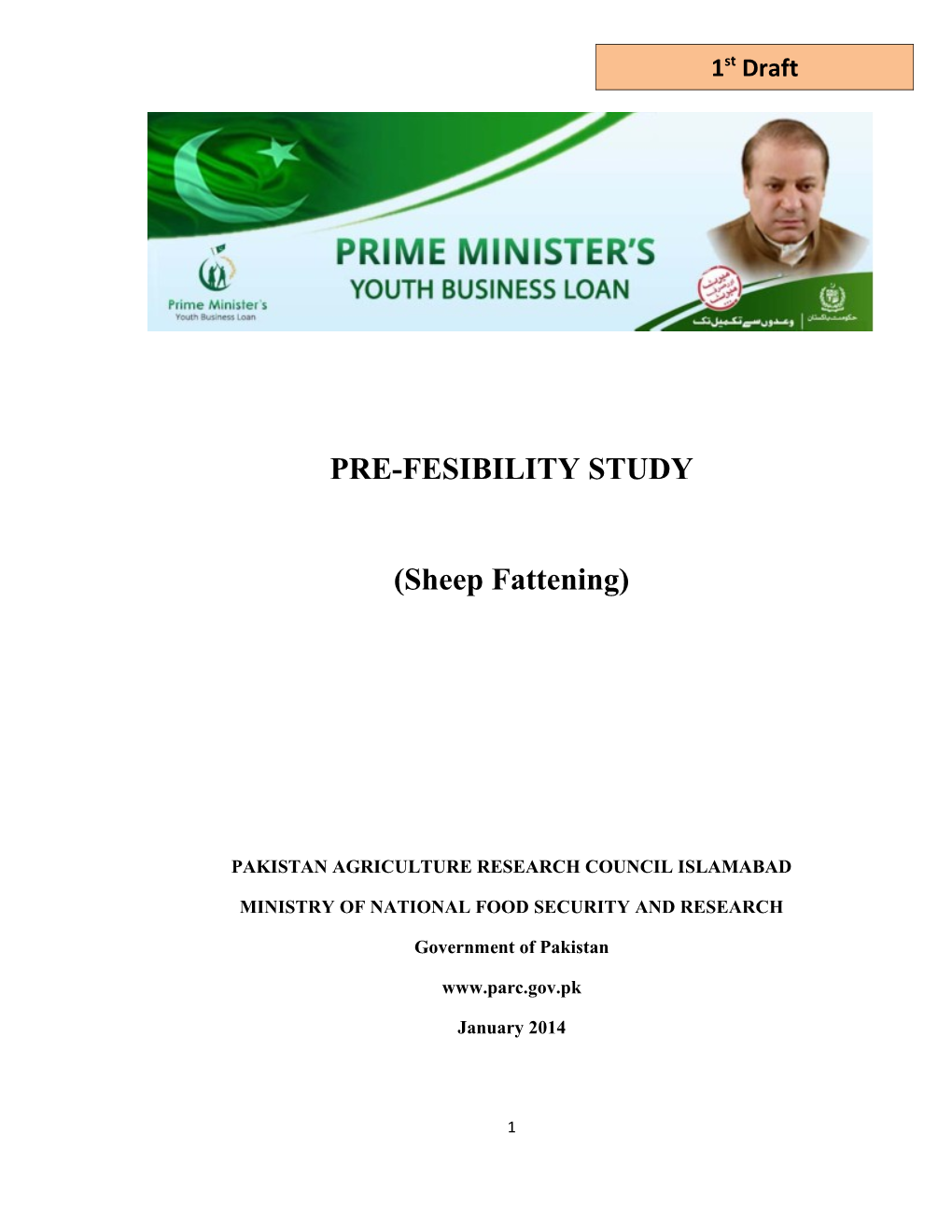 Pre-Feasibility Report