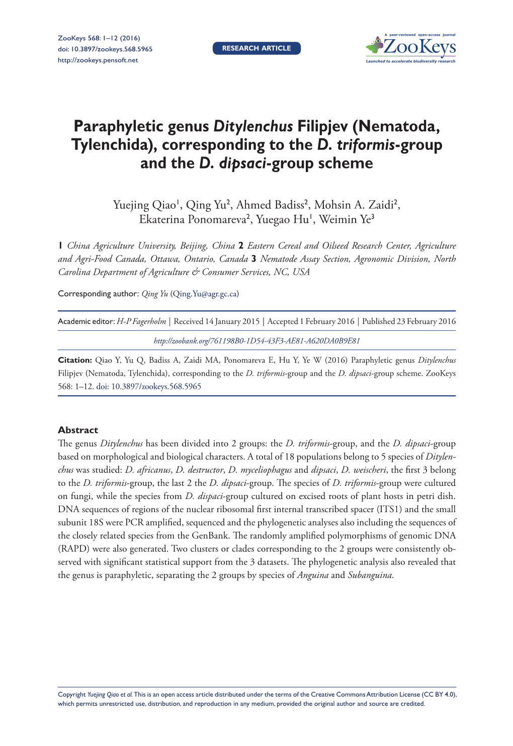 Paraphyletic Genus Ditylenchus Filipjev (Nematoda, Tylenchida)