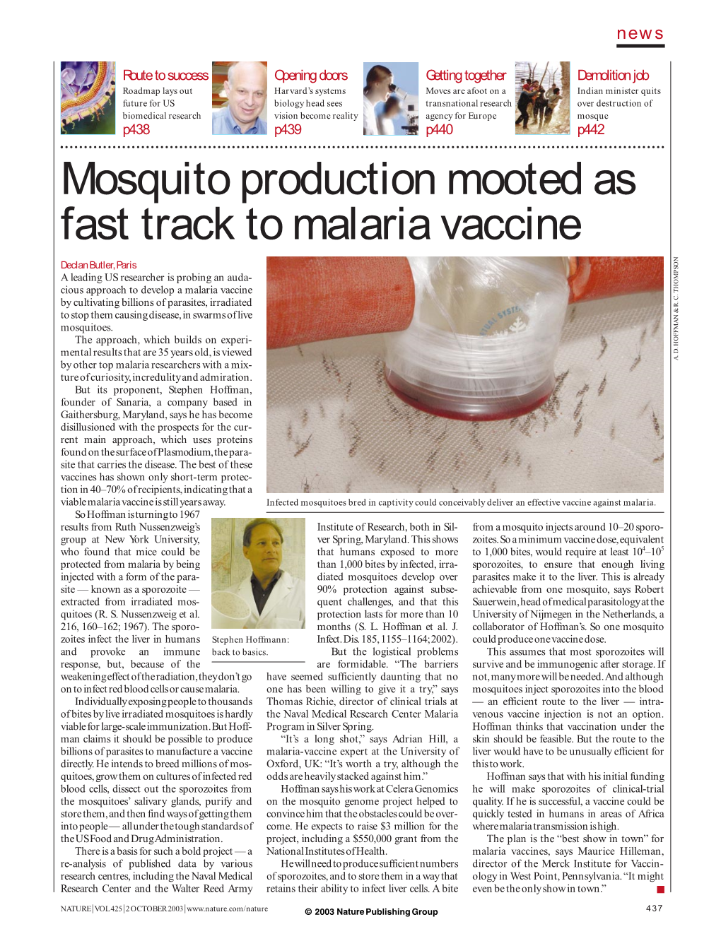 Mosquito Production Mooted As Fast Track to Malaria Vaccine