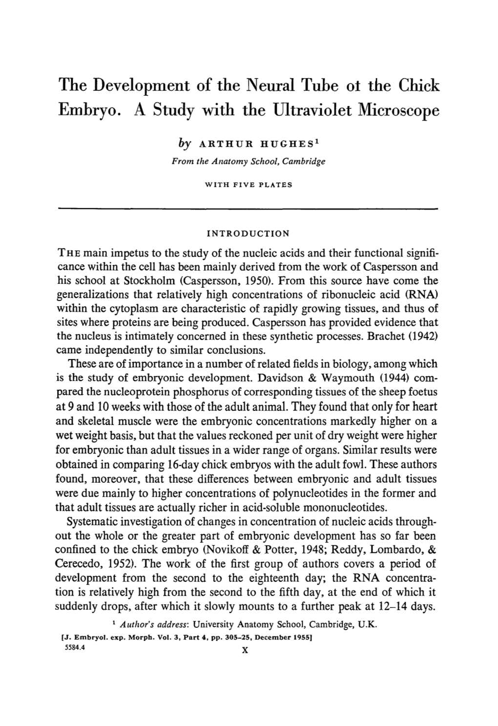 The Development of the Neural Tube of the Chick Embryo. a Study with the Ultraviolet Microscope