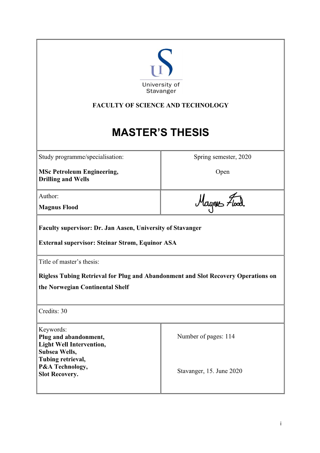 Master's Thesis