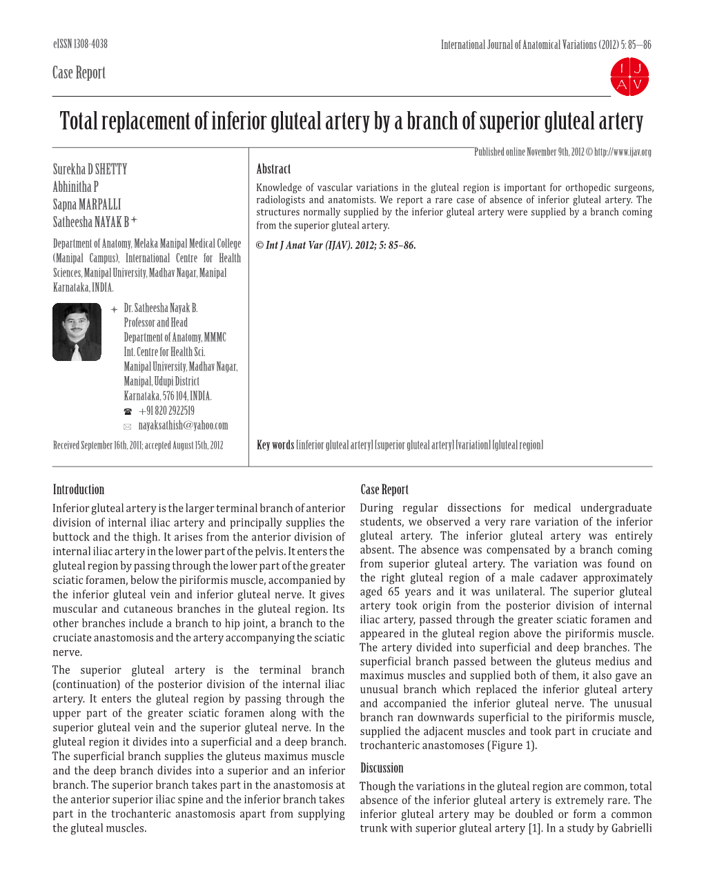 Total Replacement of Inferior Gluteal Artery by a Branch of Superior Gluteal Artery