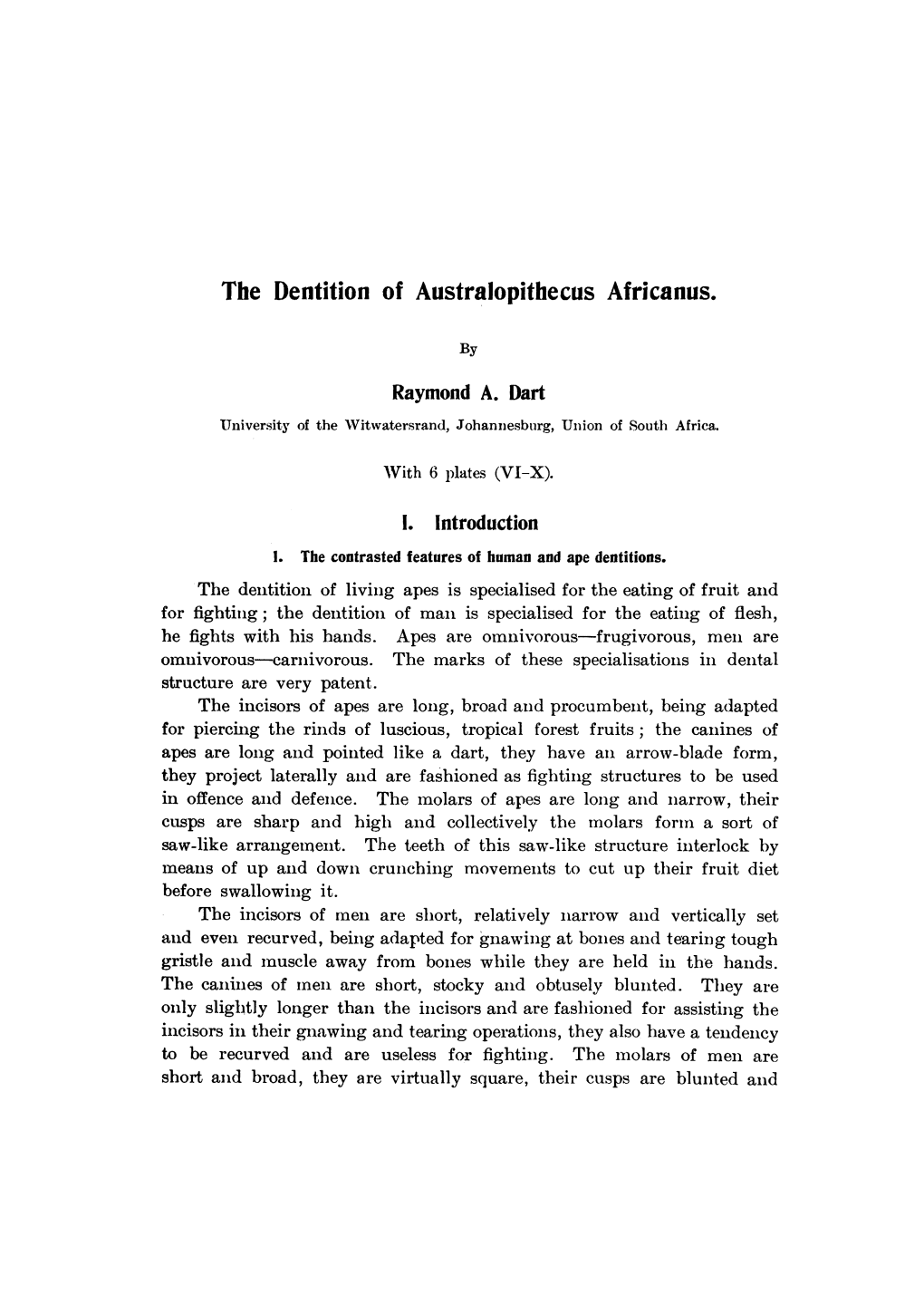 The Dentition of Australopithecus Africanus