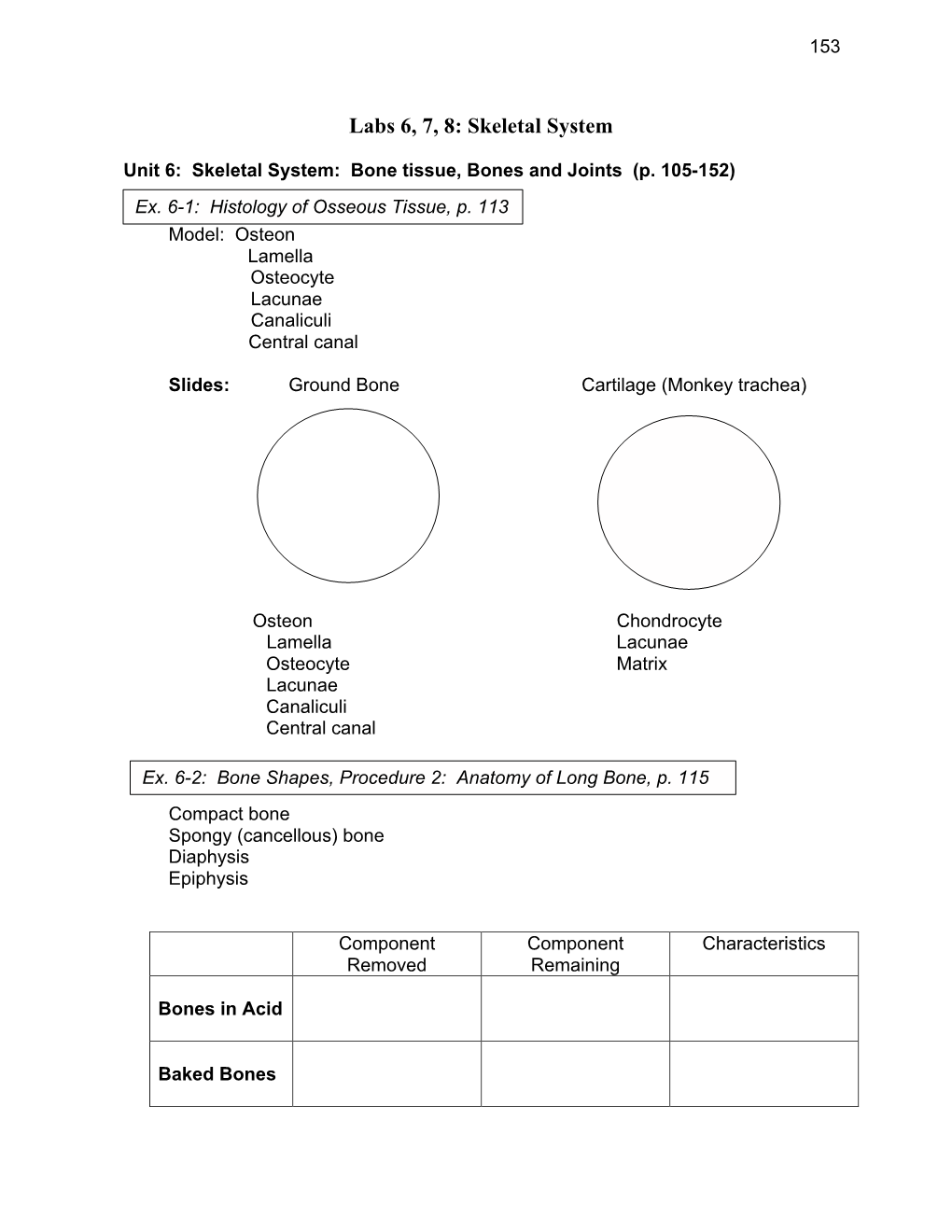 Labs 6, 7, 8: Skeletal System