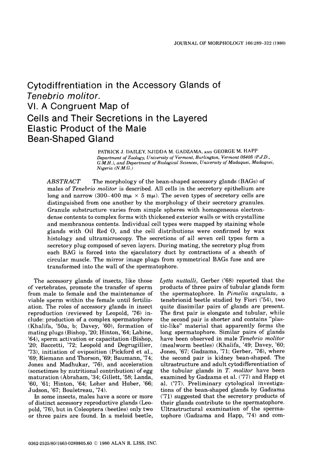 Cytodifferentiation in the Accessory Gland of Tenebrio Molitor. VI. a Congruent Map of Cells and Their