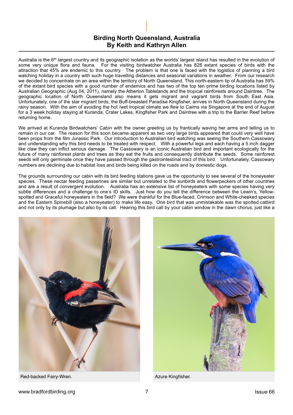 Birding North Queensland, Australia by Keith and Kathryn Allen