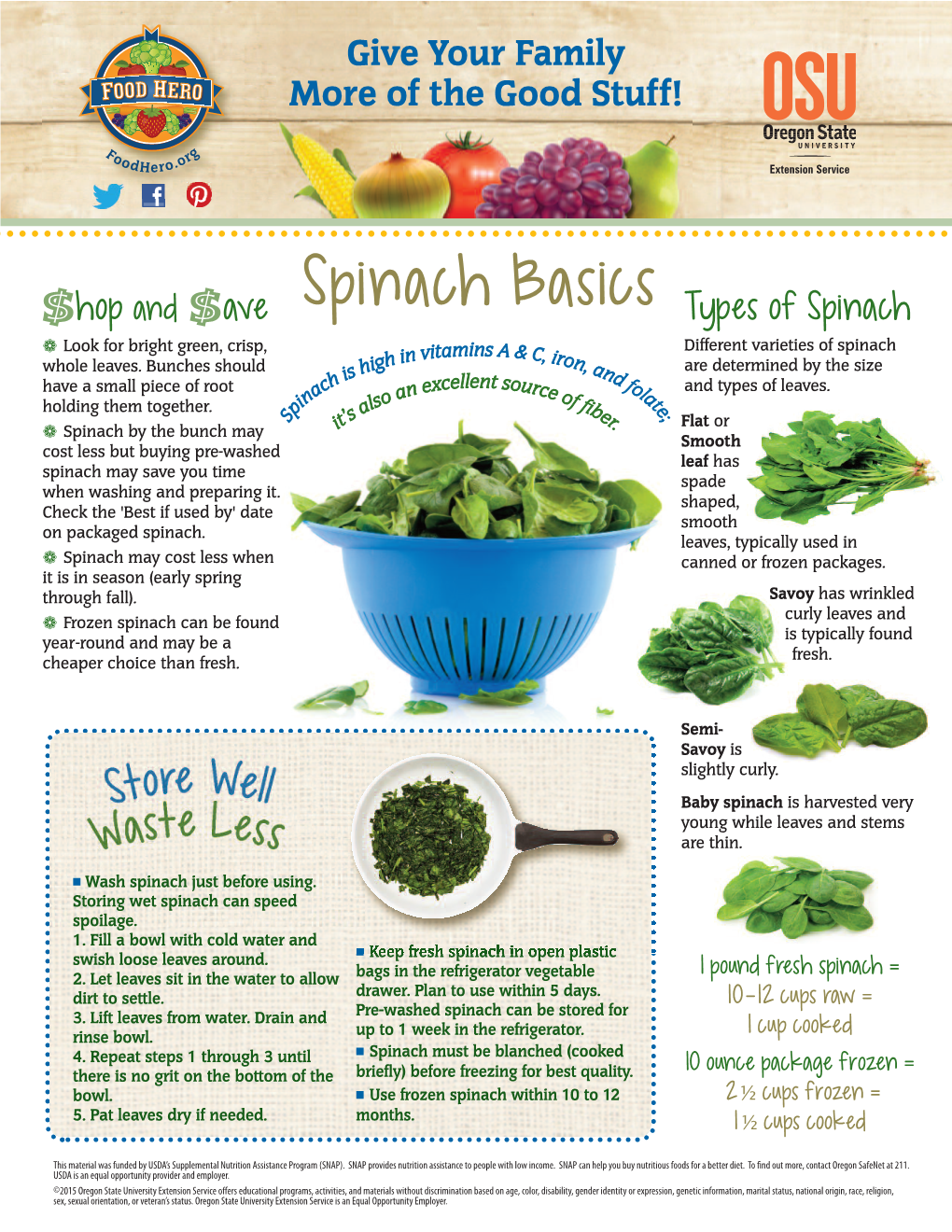 Spinach Basics