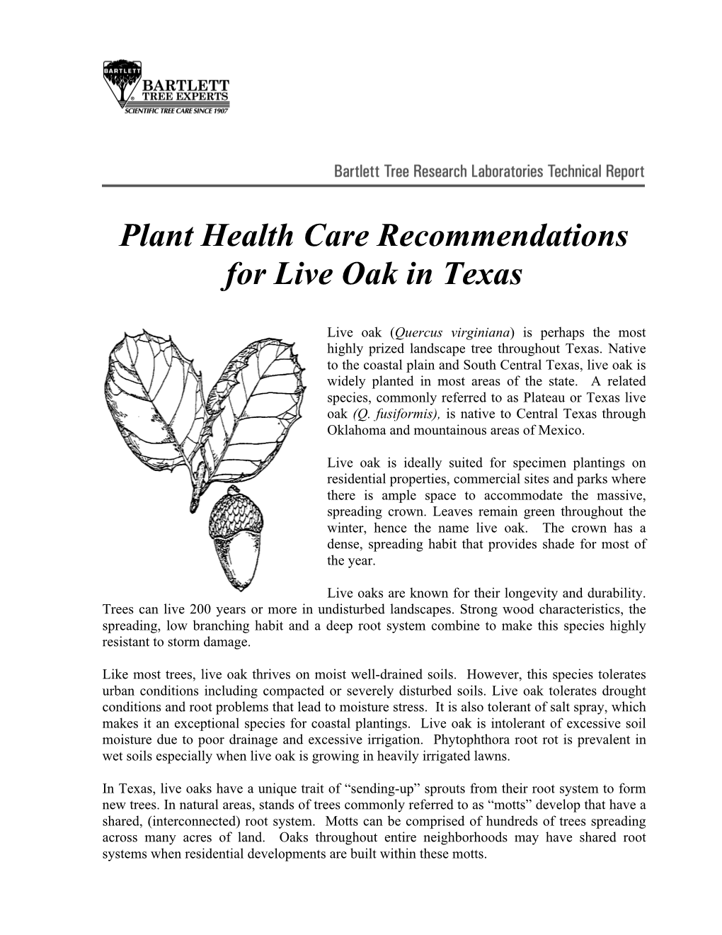 Plant Health Care Recommendations for Live Oak in Texas