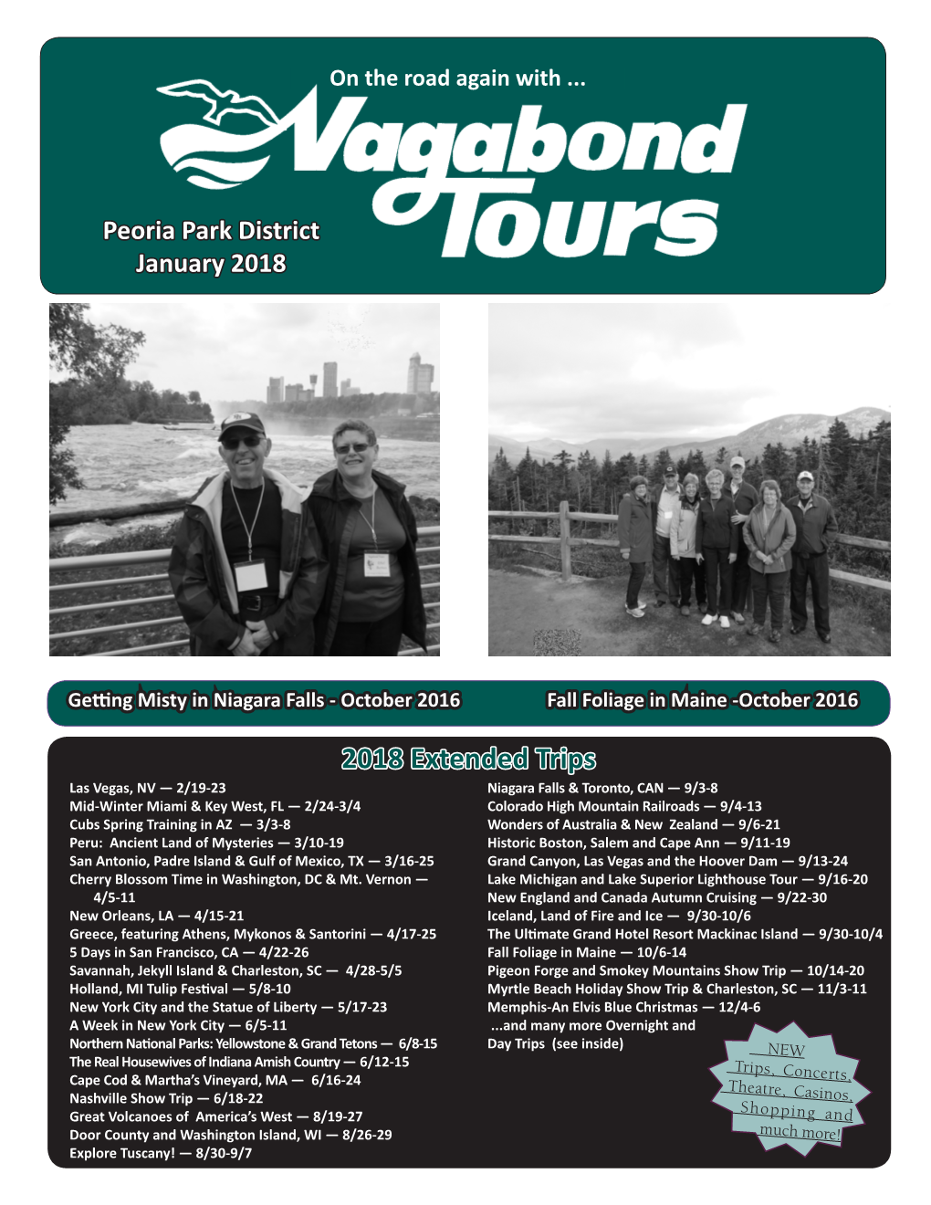 Vagabond Tours Baseball Games 2018