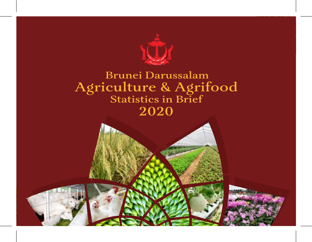 Agriculture and Agrifood Statistic 2020