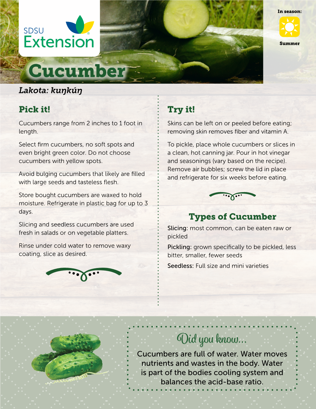 Cucumber Lakota: Kuŋkúŋ