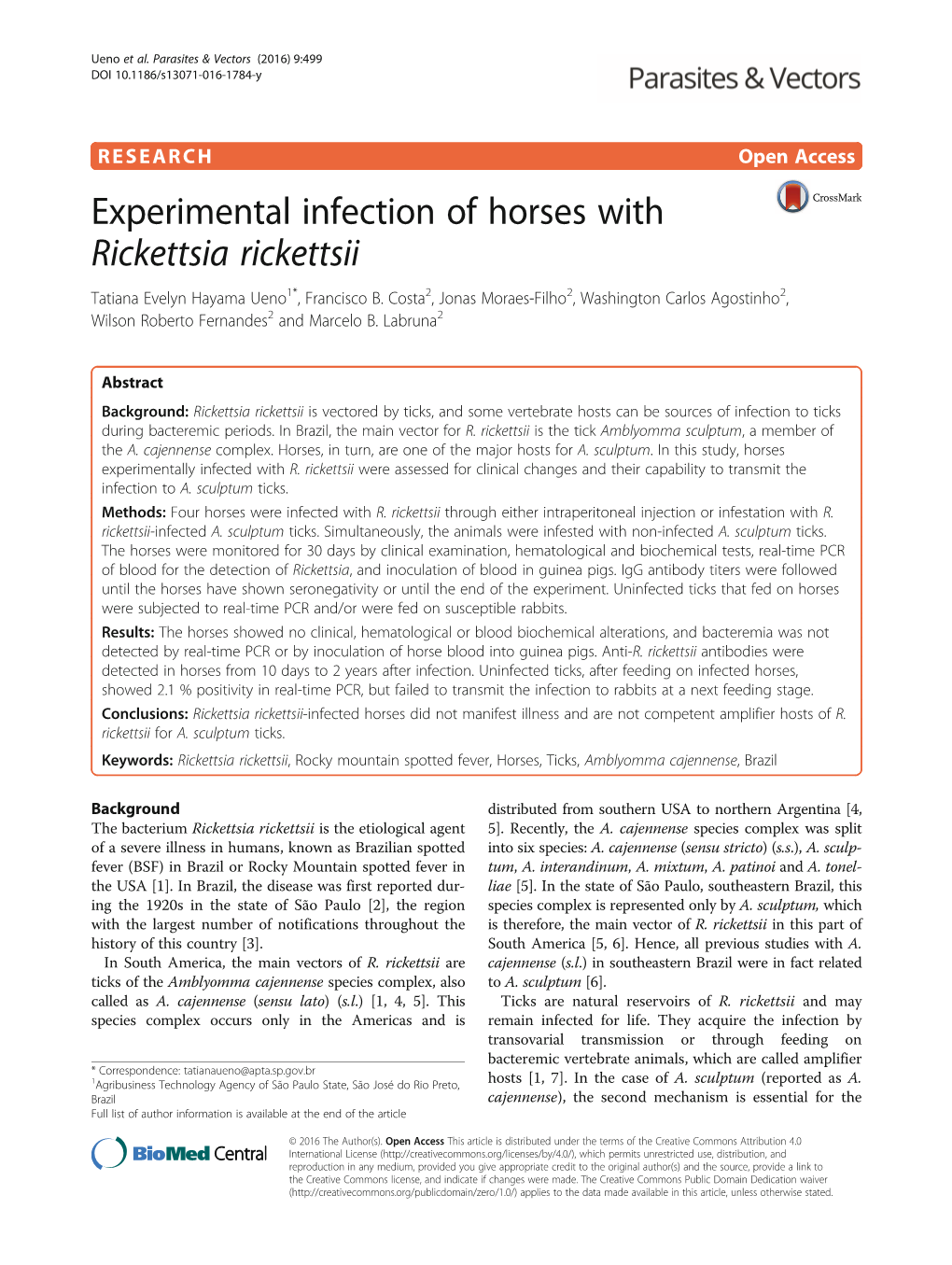 Experimental Infection of Horses with Rickettsia Rickettsii