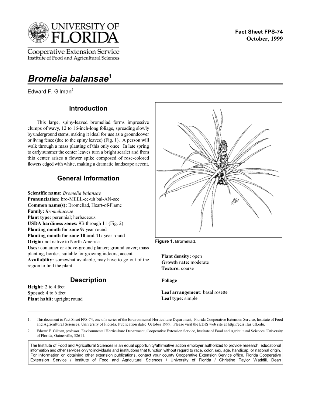 Bromelia Balansae1