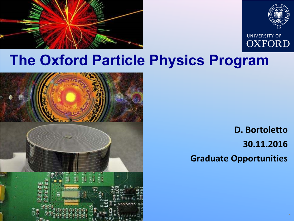 The Oxford Particle Physics Program