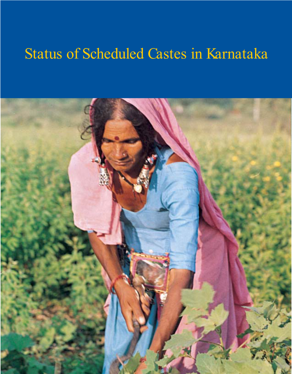 Status of Scheduled Castes in Karnataka