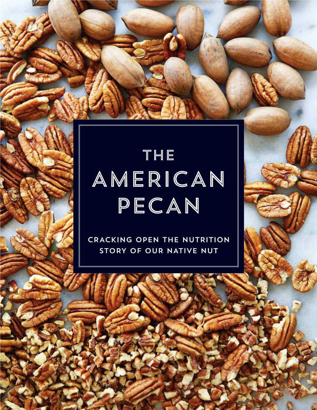 American Pecan