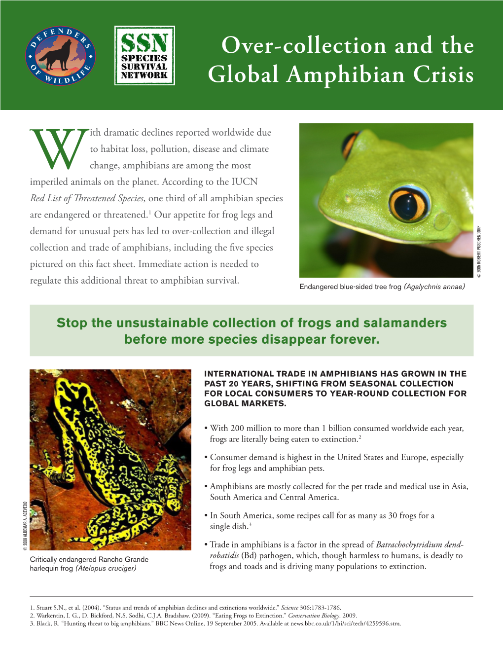 Over-Collection and the Global Amphibian Crisis