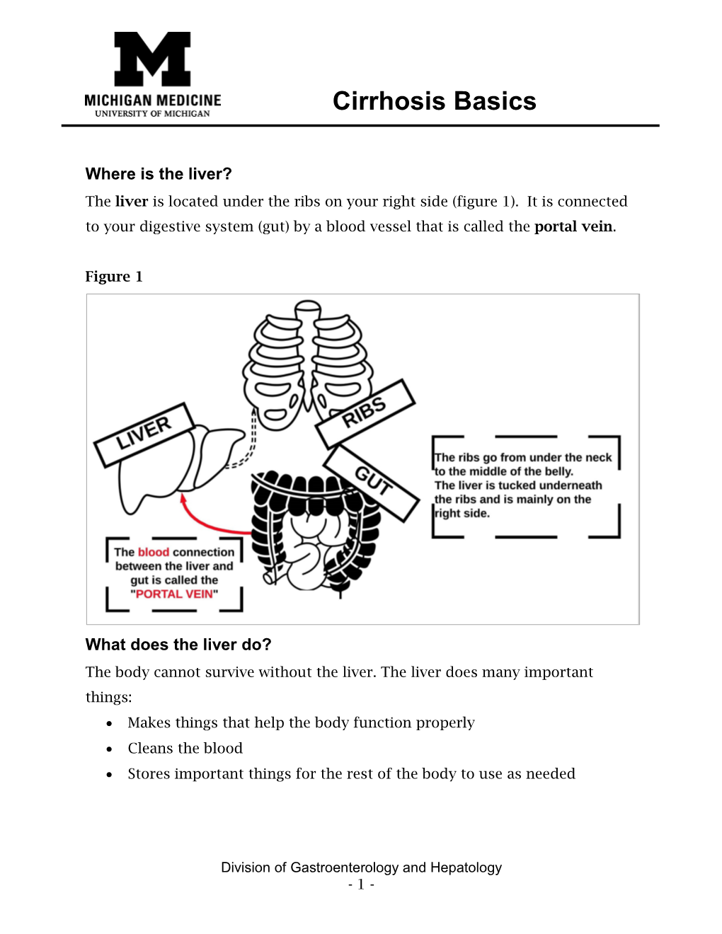 Cirrhosis Basics