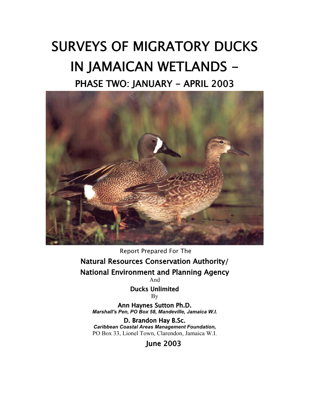 Status of Resident and Migratory Ducks in Jamaica