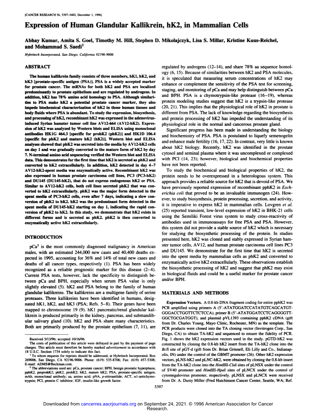 Expression of Human Glandular Kallikrein, Hk2, in Mammalian Cells