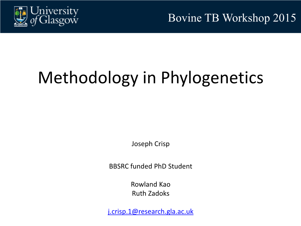 Methodology in Phylogenetics