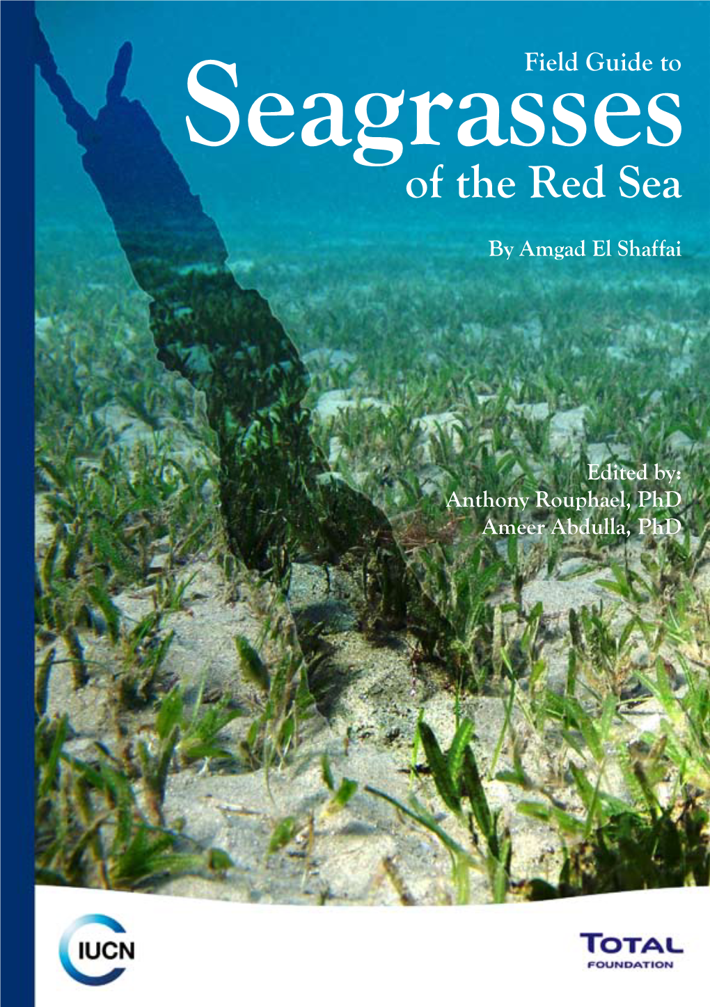 Of the Red Sea