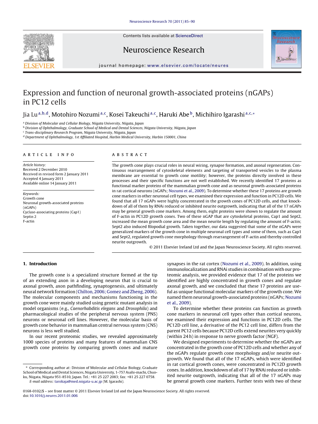 Expression and Function of Neuronal Growth-Associated Proteins (Ngaps) in PC12 Cells