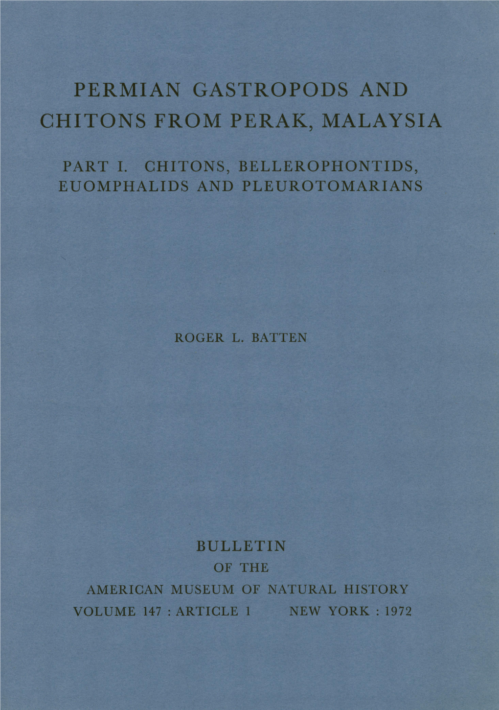 Chitonis from Perak, Malaysia