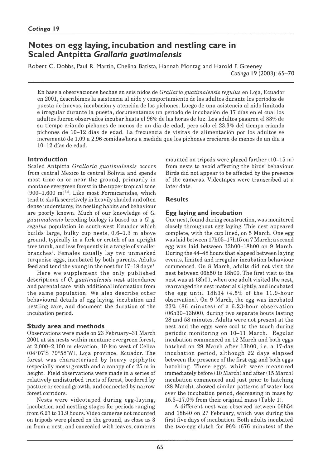 Notes on Egg Laying, Incubation and Nestling Care in Scaled Antpitta