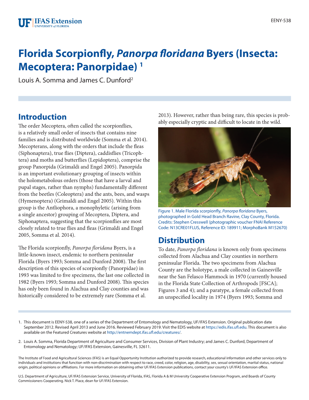 Florida Scorpionfly, Panorpa Floridana Byers (Insecta: Mecoptera: Panorpidae) 1