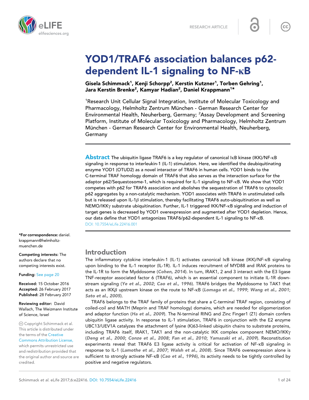 YOD1/TRAF6 Association Balances P62- Dependent IL-1 Signaling To