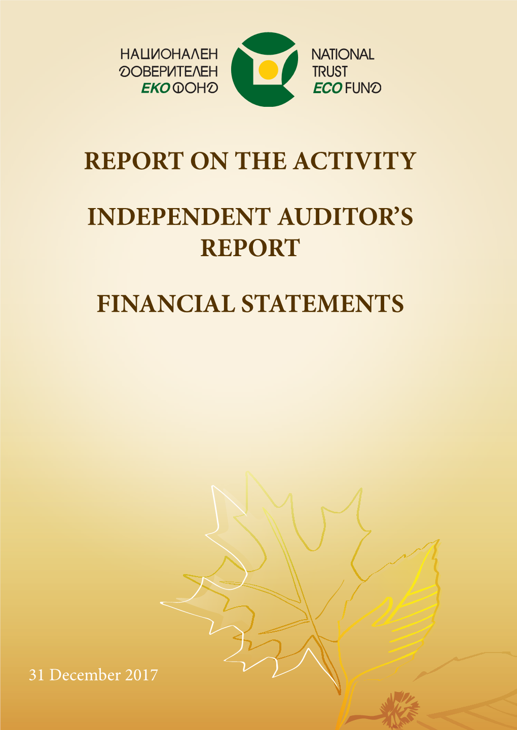 Report on the Activity Independent Auditor's Report Financial Statements