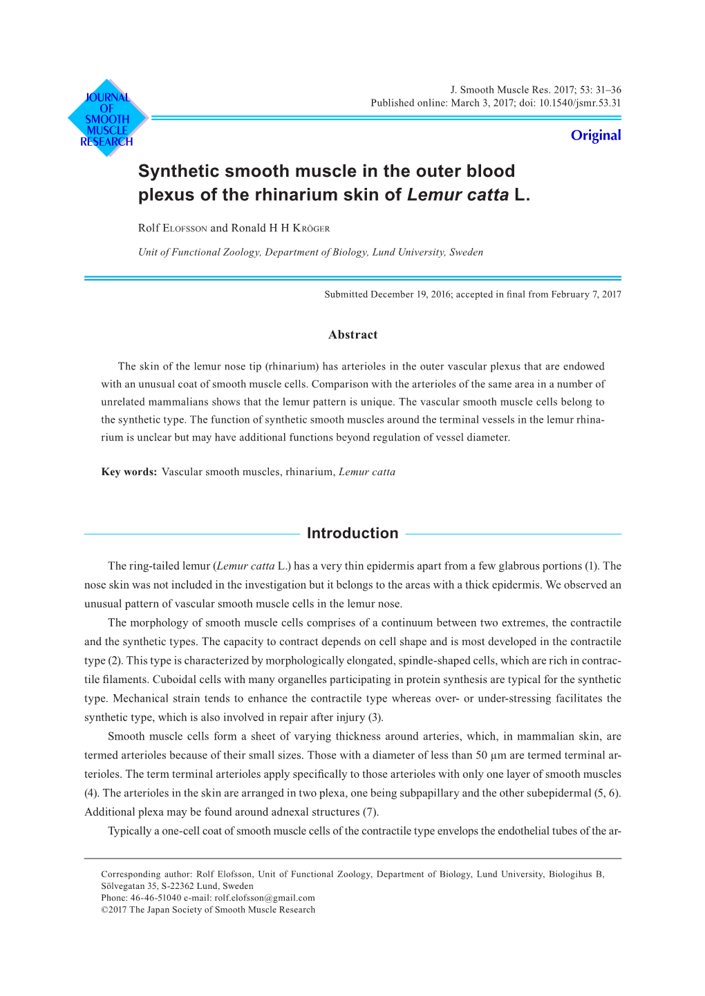 Synthetic Smooth Muscle in the Outer Blood Plexus of the Rhinarium Skin of Lemur Catta L