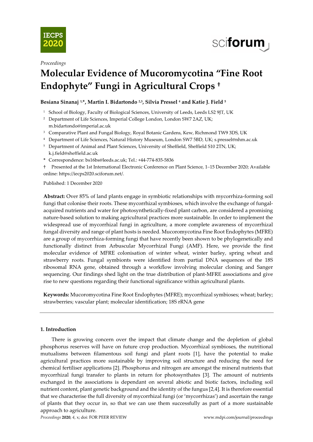 Molecular Evidence of Mucoromycotina “Fine Root Endophyte” Fungi in Agricultural Crops †