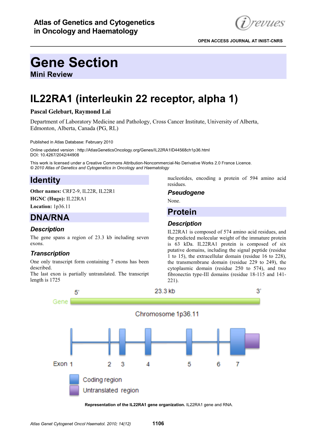 Gene Section Mini Review