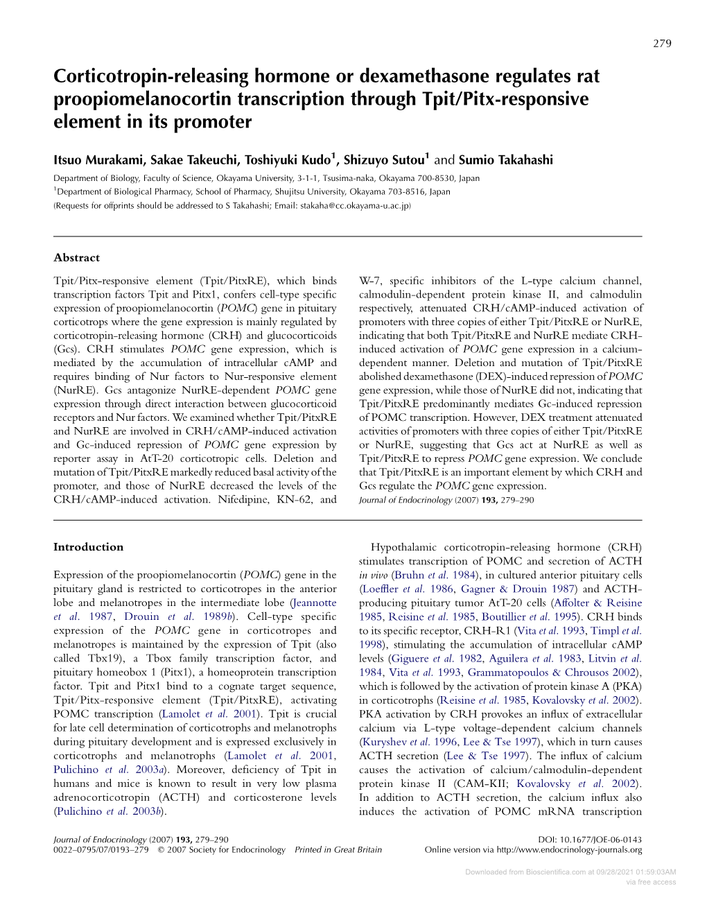 Corticotropin-Releasing Hormone Or Dexamethasone Regulates Rat Proopiomelanocortin Transcription Through Tpit/Pitx-Responsive Element in Its Promoter