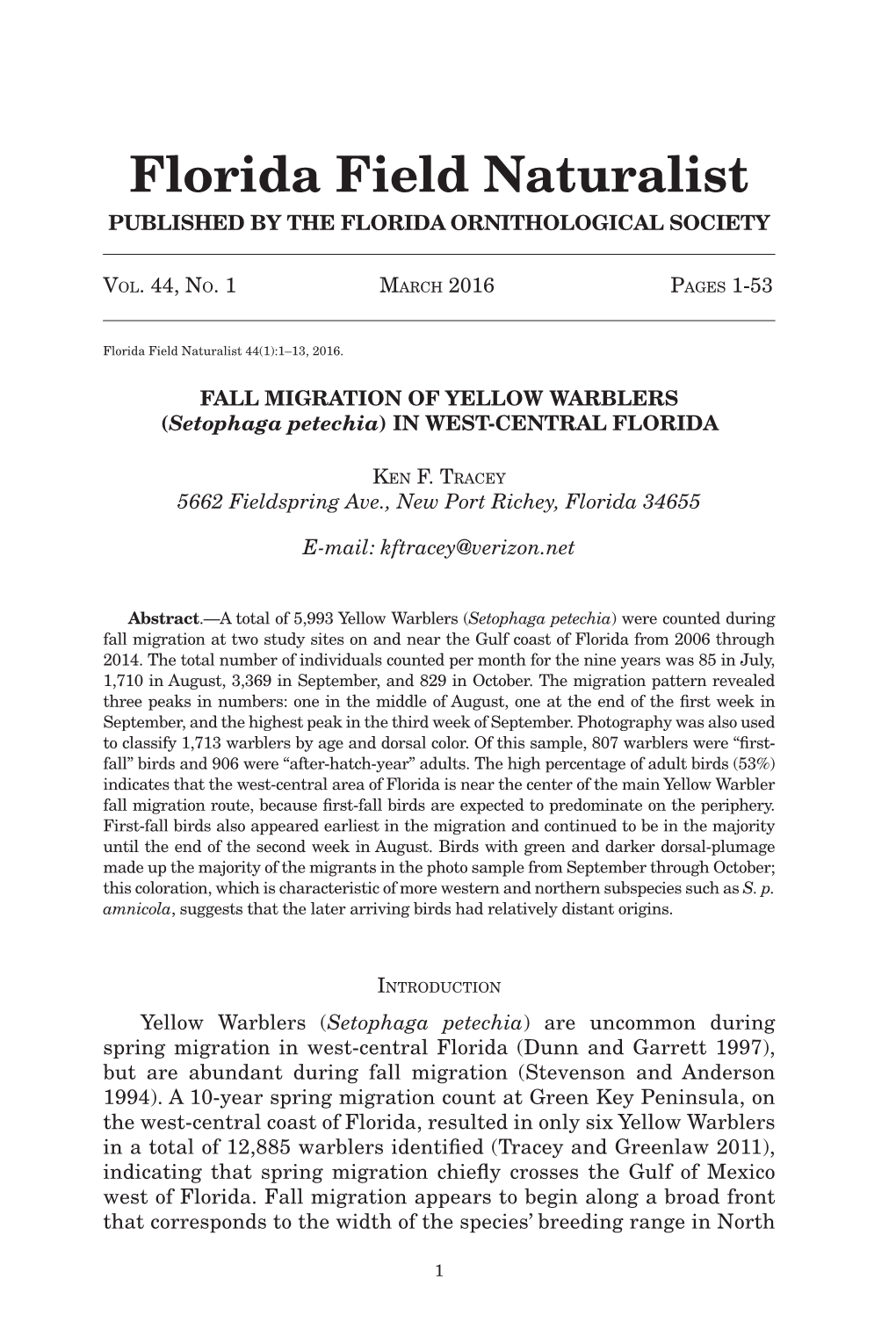 YELLOW WARBLERS (Setophaga Petechia) in WEST-CENTRAL FLORIDA