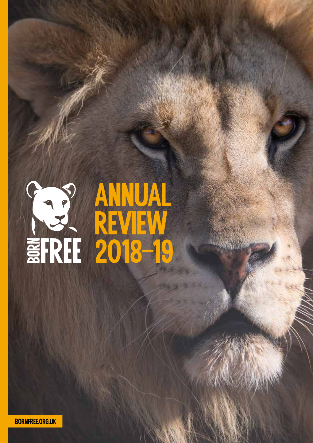 Annual Review 2018-19