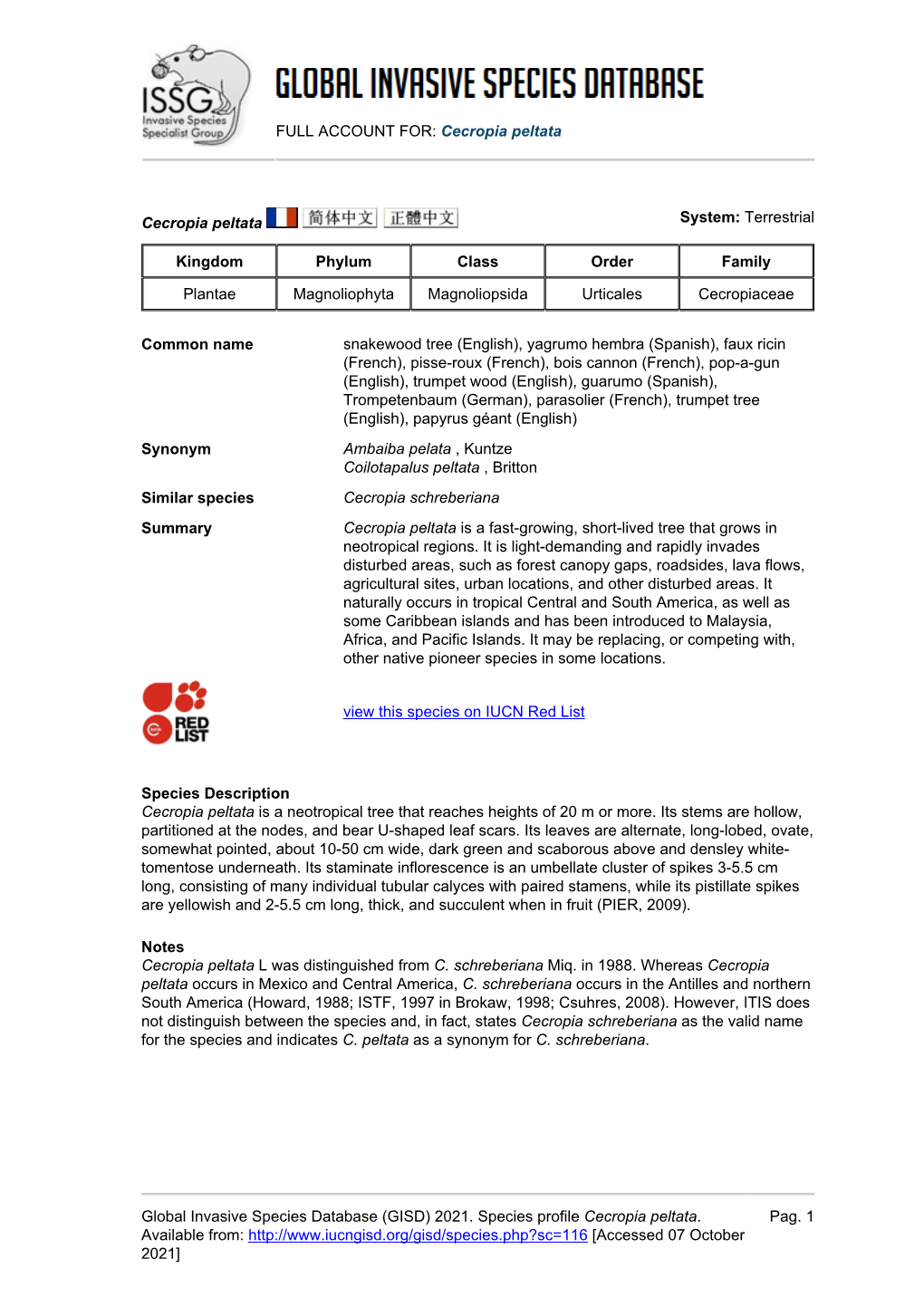 Cecropia Peltata Global Invasive Species Database (GISD)