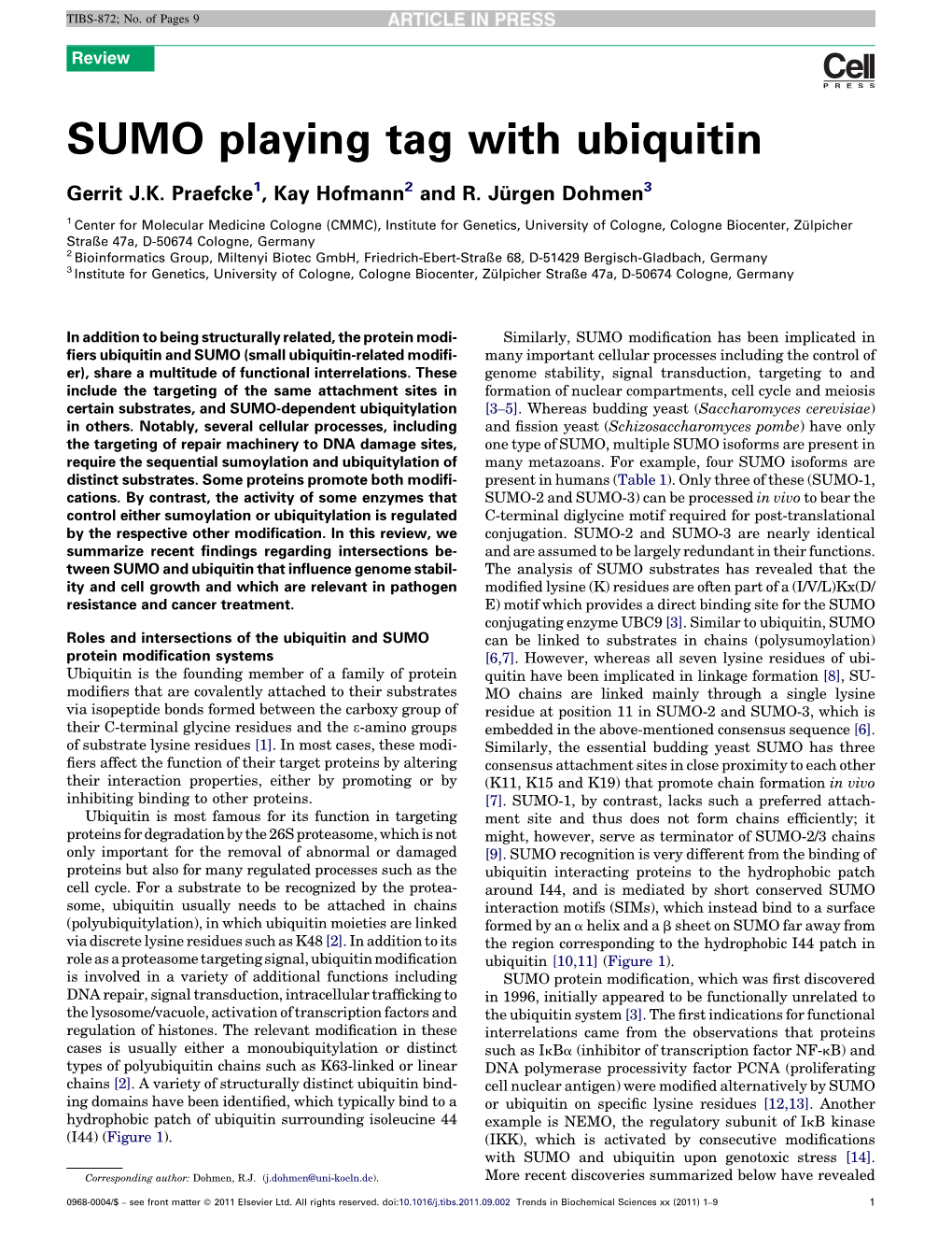 SUMO Playing Tag with Ubiquitin