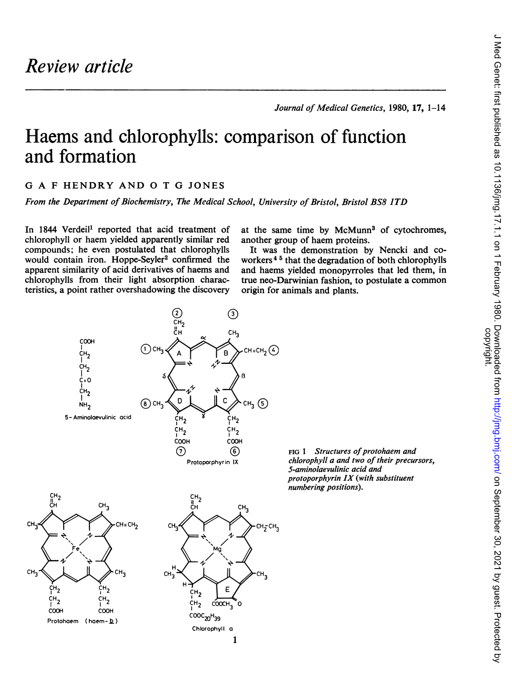 And Formation