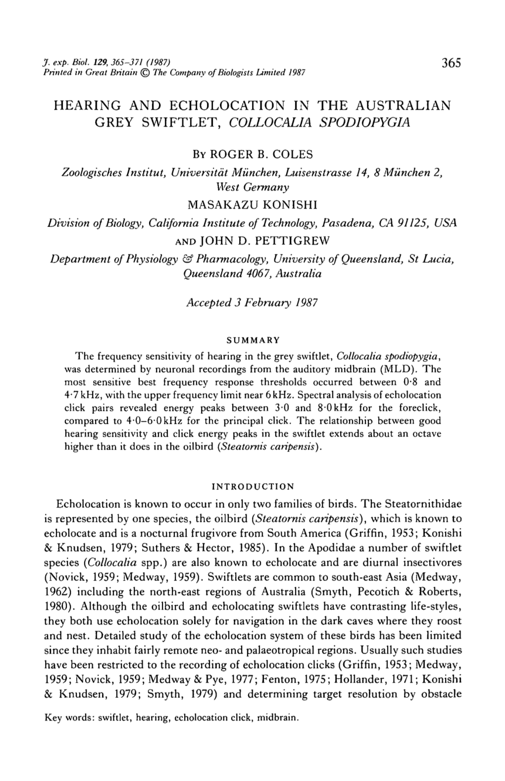 Hearing and Echolocation in the Australian Grey Swiftlet, Collocalia Spodiopygia